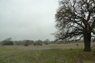 0000 Farm Market 1655, Forestburg, TX 76239 - photo 2