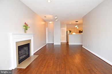 13070 Autumn Woods Way unit 201, Fairfax, VA 22033 - photo 6