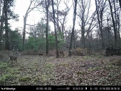 W9395 County Road C, Orange, WI 54618 - photo 3