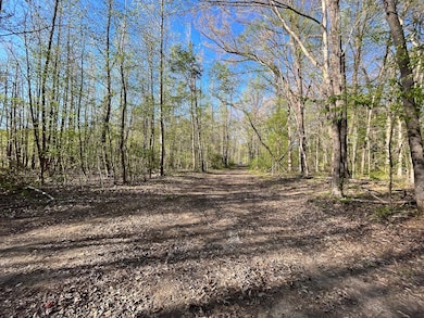 0000 E Highway 25 70, Newport, TN 37821 - photo 5