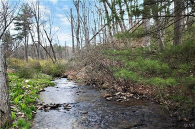 65 E Lizard Creek Rd, Lehighton, PA 18235 - photo 7