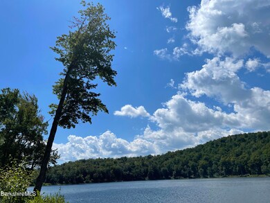 50 Ridge Ave, Pittsfield, MA 01201 - photo 5