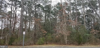 8.02 Center St, Little Egg Harbor, NJ 08087 - photo 2