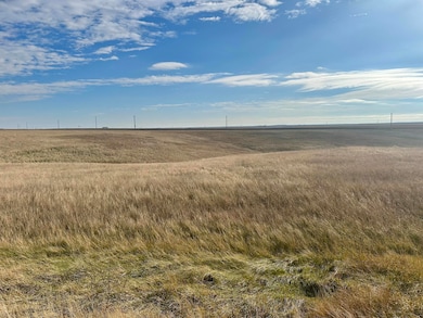 28057 Cactus Flt Dr, Ft. Pierre, SD 57532 - photo 6