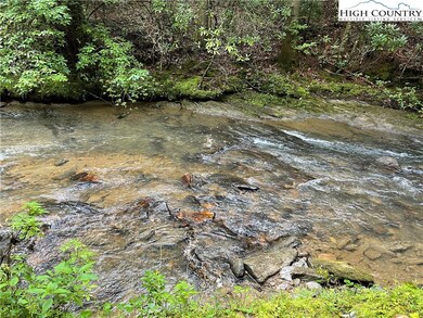 TBD (13 & 14) Timberwilde Dr, Laurel Springs, NC 28644 - photo 6