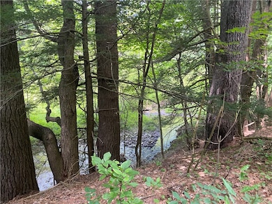 925 Haytown Rd, Grampian, PA 16838 - photo 4