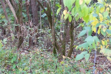 0 Hudson Ln, Bella Vista, AR 72715 - photo 4