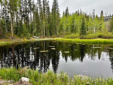 Pond and conservation easement