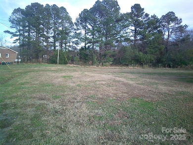 107 and 109 Sador St, Cherryville, NC 28021 - photo 7