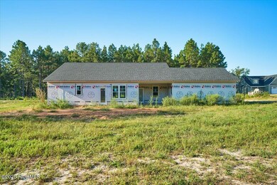 171 Spring Meadows Dr, Aberdeen, NC 28315 - photo 5