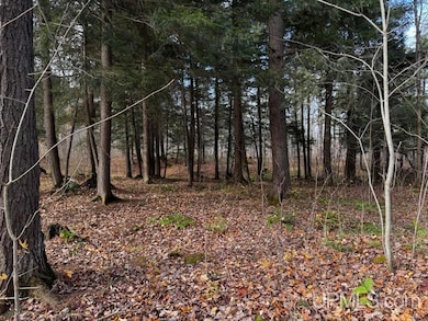 TBD OFF Skanee Rd, Skanee, MI 49962 - photo 2