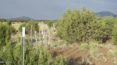 DSCF5742