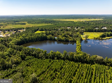 85 ACRES Catfish Farm Rd SE, Townsend, GA 31331 - photo 5