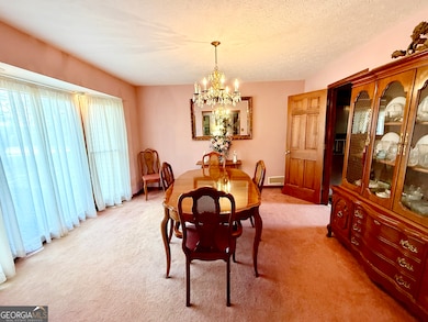 291 Morgan Mill Rd, Brooks, GA 30205 - photo 5