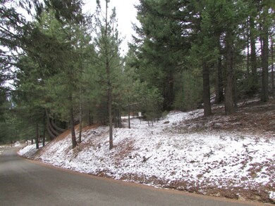 0 Highland Lp unit 721902, Ronald, WA 98940 - photo 3