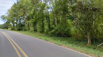 Tract 13 Mount Pleasant Rd, Dalton, GA 30721 - photo 5