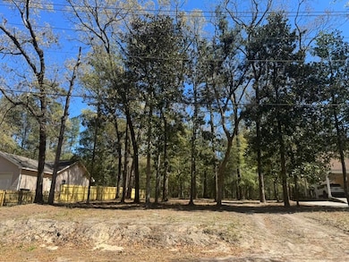 0 Dowling Ave, Walterboro, SC 29488 - photo 2