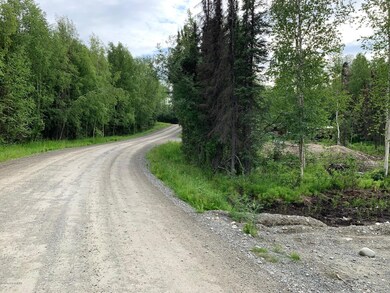 7301 W Indigo Dr, Meadow Lakes, AK 99623 - photo 7