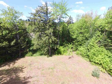 0 Bog Rd unit 4639257, New London, NH 03257 - photo 3