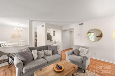 11058 Cedar View Rd unit 8367, Charlotte, NC 28226 - photo 5