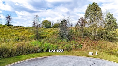 Lot 21 Ridgemont Ln, Ellijay, GA 30536 - photo 6