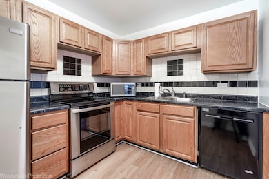 Shoreline Towers Condominiums unit 6C, Chicago, IL 60660 - photo 2