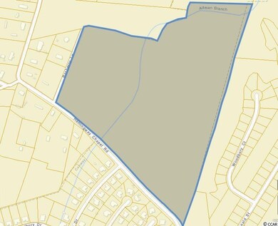 TBD Hemingway Chapel Rd, Conway, SC 29526 - photo 6