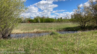 IMG_4118