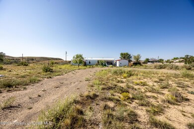 13 Road 50183, Bloomfield, NM 87413 - photo 2