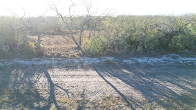 0 Fm 716 unit 20255318, Realtitos, TX 78376 - photo 3