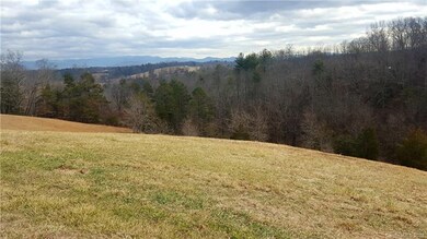 9999 Justice Dr, Leicester, NC 28748 - photo 3