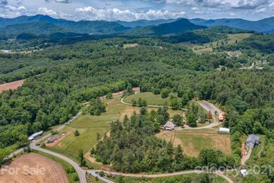 43 Don Felmet Rd, Leicester, NC 28748 - photo 2