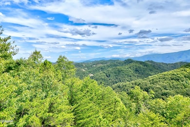 2743 Overholt Trail, Sevierville, TN 37862 - photo 4