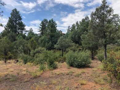 608 N Trailhead Dr unit 16, Payson, AZ 85541 - photo 7