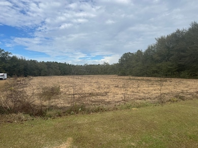 Lot 1 Freemanville Dr, Atmore, AL 36502 - photo 2