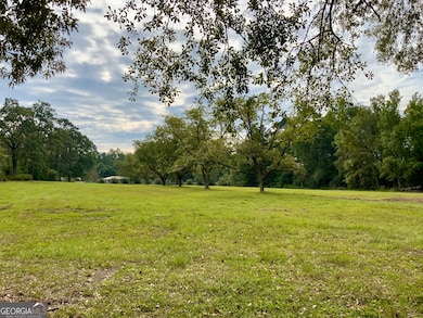 3195 Middle Ground Rd, Statesboro, GA 30461 - photo 5