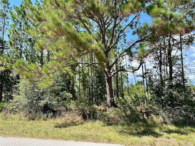 0 Oil Well Rd unit MFRG5100577, Clermont, FL 34714 - photo 2