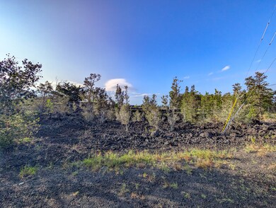 0 Leilani Circle Mauka, Ocean View, HI 96737 - photo 5