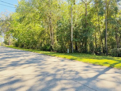 1188 W Pearson St, Hernando, FL 34442 - photo 3