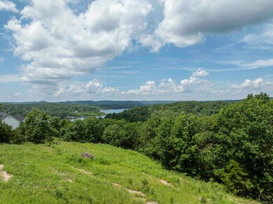 55 Sea Gull Ln, Flat Creek A Township, MO 65624 - photo 6