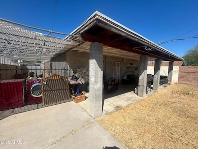 back yard