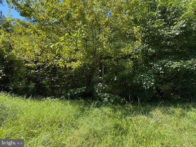 38.6 +/- Acres Wheatleys Pond Rd, Smyrna, DE 19977 - photo 3