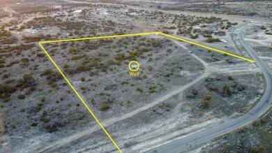 16695 Vaquero Trail unit 15, Christoval, TX 76935 - photo 7