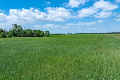 View of undeveloped land featuring rural landscape