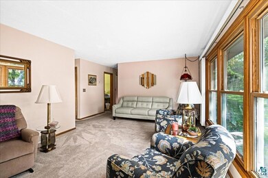 Living room with carpet floors