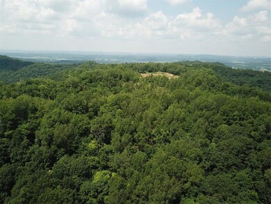 0 Sather Ln unit 1533393, Ettrick, WI 54627 - photo 4