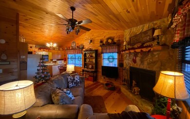 175 Briar Creek Dr, Ellijay, GA 30540 - photo 4