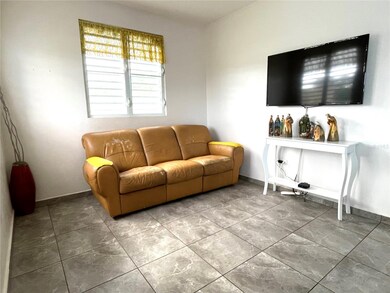 RD 308 KM 5.8 Interi Solar 4 Miradero Ward, Cabo Rojo, PR 00623 - photo 4