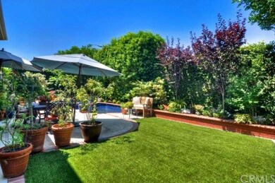 Resort-Style Backyard