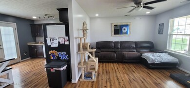 295 Crossfield Dr, Mount Washington, KY 40047 - photo 6